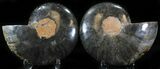 Split Black Ammonite Pair - Unusual Coloration #29591-1